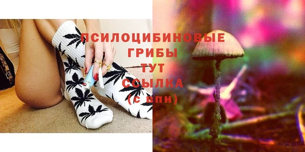 ECSTASY Баксан